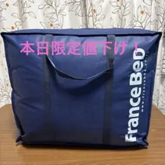 新品未使用 フランスベッド 羽毛掛け布団 ダウン90% シングル 150×210 新品未使用 フランスベッド 羽毛掛け布団 ダウン90% シングル 150×210