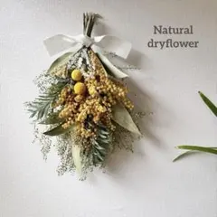 Natural＊涼しげな夏のグリーンスワッグ♡ドライフラワースワッグ