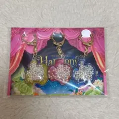 ミセス ミュージシャン