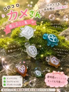 ラッキータートル♪色・サイズランダム5亀set♪シーグラスアートのサムネイル