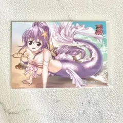 ★非売品　戦国乙女　イエヤス　コミケ　コスプレ　ブロマイドのサムネイル