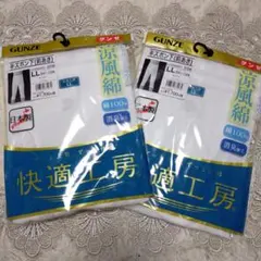 GUNZE 半ズボン下 ボトムインナー メンズ LL 前あき 夏用 快適工房