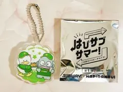 SUBWAY はぴだんぶい アクリルキーホルダー ハンギョドン＆あひるのペックルのサムネイル