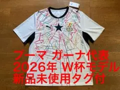 ガーナ代表 マンチェスターシティ アーセナル レアルマドリード