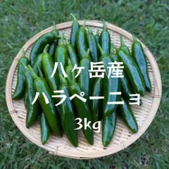 長野県産 おっきなハラペーニョ 2kg以上 - メルカリ