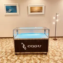 2026年最新】#グッチのひ孫の人気アイテム - メルカリ