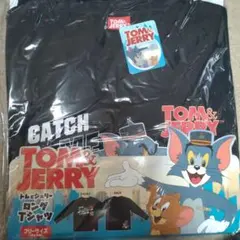 Item thumbnail for item a7e5c2c1-8252-478e-a821-6cd7a811e440