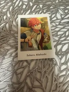 あんスタ!! ぱしゃっつ Private Trickster 明星スバル