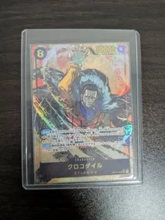 【美品】クロコダイル sec