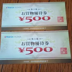 ヤマダ電機】YAMADA HLDGS お買物優待券 ¥500 2枚 - メルカリ