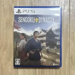 sengoku dynacity PS5
