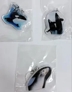 名古屋港水族館 シャチ『アース』 缶バッジ - メルカリ