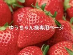 ゆうちゃん様専用ページ