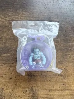 ☆おまけ付☆ ワンピースワンピの実ミクロブリスターチャーム 【シークレット】