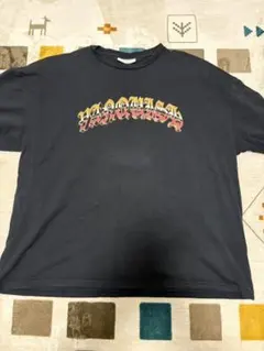 VANQUISH FITNESS Tシャツ　Lサイズ