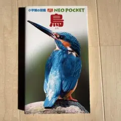 鳥