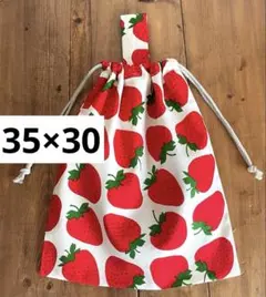 Item thumbnail for item 40389c15-1334-4fbe-ae68-d67ed5074516