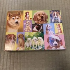 Item thumbnail for item 7c939736-b560-4f17-bee6-777d2bfafffb