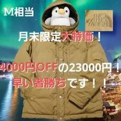 nanamica ダウンジャケット