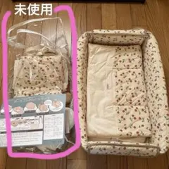 Item thumbnail for item 80f30b7b-0803-4115-ab22-3b1d9af33ffa