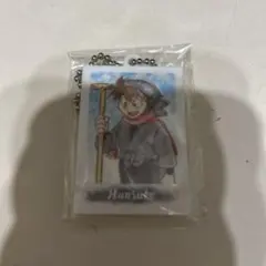 忍たま 忍たま乱太郎 ミニアクリルキーホルダーコレクション ぱしゃこれ 土井半助