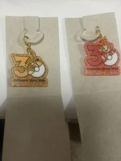 【即日発送】ポケモン 30周年 アクリルチャーム 2種セット　デデンネ　ヒコザル