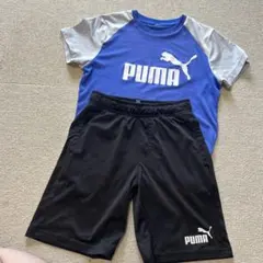 140cmPUMA Tシャツとショートパンツセットのサムネイル
