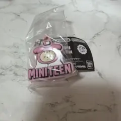 SEVENTEEN セブチ MINITEEN ミニティーン めじるしアクセサリー