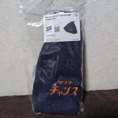 Item thumbnail for item 567b474f-0676-44a1-9307-61f4936015fd