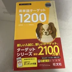 Item thumbnail for item 4b62ce14-7e09-46fe-a6e1-baadbb892116