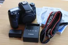 Item thumbnail for item 493f2052-d6f9-459c-b30d-32f0f0dedac2