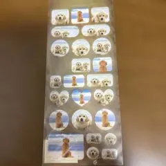 犬の写真シールセット