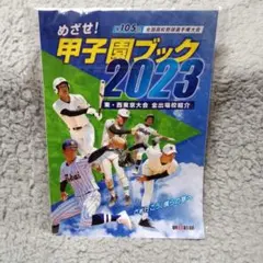 Item thumbnail for item 675b1bea-7d3c-4229-8f6d-c4cf35c4add4