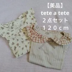 【美品】半袖ブラウス・トップス　２点セット 小花柄　ギンガムチェック　春服　夏服