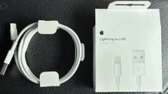 Apple Lightning to USB Cable (1m)
