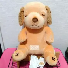 ニトリ しろくま シロクマ 抱き枕 ぬいぐるみ 腹巻き アーガイル