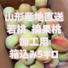 加工用 若桃 摘果桃 箱込約5キロ 山形産地直送 除草剤不使用のサムネイル