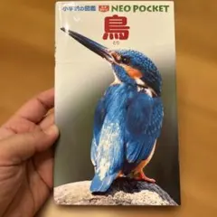 鳥