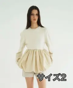 Item thumbnail for item 1a28b5a0-0e20-4423-859c-529bf5083383