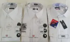 Item thumbnail for item 16a88649-8f0b-4d86-8b89-610541a08411