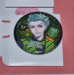 セベク 缶バッジ 80個 51VRrE+tr6L._AC_UF350,