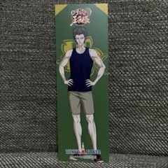 新テニスの王子様 テニプリ 東京タワー 輪投げ 特典 しおり 亜久津仁