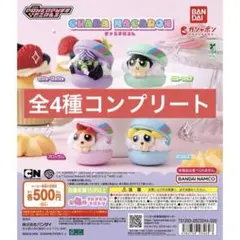 パワーパフ ガールズ きゃらまかろん 全4種