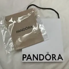 PANDORA ショップ袋 巾着袋 セットのサムネイル