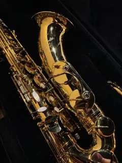 【金メッキ】Dave Guardala DG502GP【テナーサックス】のサムネイル
