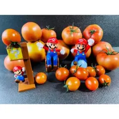 Mayu様　専用　L×2 1/30