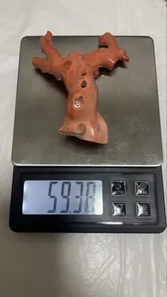 本珊瑚　桃色珊瑚　原木　1982g  トヒチサ 東さ6-0208① 本珊瑚 桃色珊瑚 原木 1982g トヒチサ 東さ6-0208① 美術品