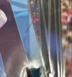 sayukiさま専用ページ