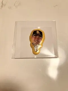 福岡ソフトバンクホークス 近藤選手　グリッターシール