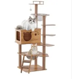 Item thumbnail for item 3dc7aec2-74ec-4e3a-8b52-8bcb2356b45e